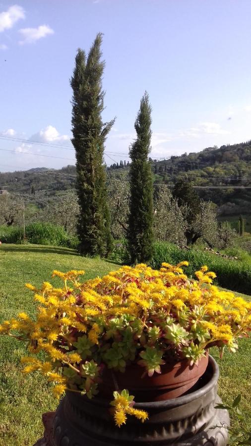 Podere Sanlorenzo Carmignano Zewnętrze zdjęcie